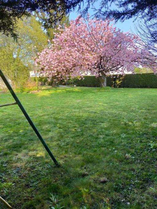Maison Chaleureuse Avec Insert En Campagne Villa Saint-Mars-sur-la-Futaie Exterior foto